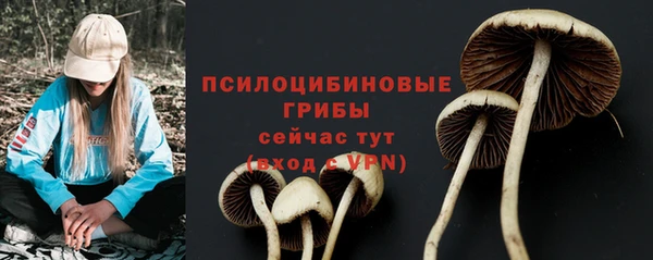соль ск Пролетарск