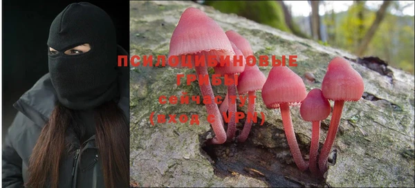 соль ск Пролетарск