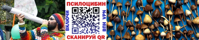 Псилоцибиновые грибы Psilocybe  omg зеркало  Струнино 